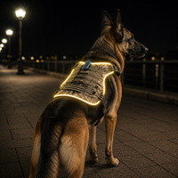 Harnais pour chien lumineux QCool Global Trade Mesh Config avec avertissement LED, suivi GPS et accès à la personnalisation pour entrepôt UE