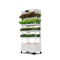 Jardinière hydroponique intelligente d'intérieur avec pompe, arrosage automatique à 5 niveaux et éclairage LED, gestion automatique conviviale de la croissance