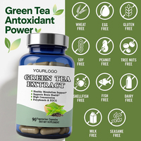 Complément alimentaire au thé vert, brûleur de graisse, amincissant, nettoyant, probiotiques, détoxifiant, capsules d'extrait de thé vert, métabolisme, nutritionnel
