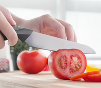 Couteau à légumes utilitaire en acier inoxydable de qualité supérieure de 5.5 pouces avec lame tranchante et manche en plastique