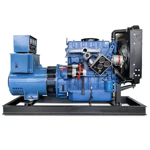 30kw 40kw 50kw 3 Fase Lage Prijs Luchtkoeling Open Type Power Diesel Generator Door Ricardo Motor Genset