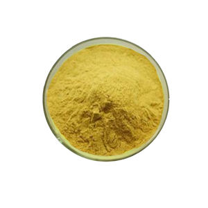 Kedeyi <span class=keywords><strong>Kaempferia</strong></span> <span class=keywords><strong>Galanga</strong></span>エキス98% 天然Kaempferolパウダー - Product Image 3