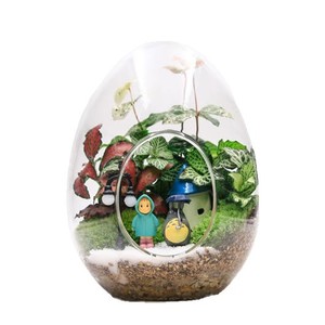 <span class=keywords><strong>Bouteille</strong></span> <span class=keywords><strong>en</strong></span> <span class=keywords><strong>verre</strong></span> créative <span class=keywords><strong>en</strong></span> forme de gros œuf, vase <span class=keywords><strong>en</strong></span> <span class=keywords><strong>verre</strong></span> pour plantes succulentes, micro-paysage, <span class=keywords><strong>bouteille</strong></span> de mousse - Product Image 2