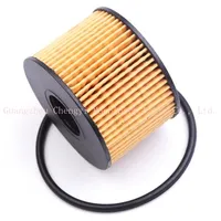 Filtre à huile pour Equator Sport 1.5T 2021 YUSHENG S330 2016 XIAOYAO X7 2018, accessoires HY16744AA