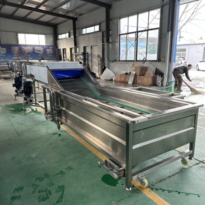 Machine à laver les légumes à haute pression / Machine à laver les carottes / Laveur <span class=keywords><strong>de</strong></span> gingembre - Product Image 3