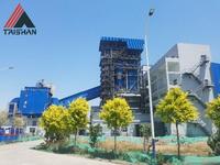 Chaudière à bois verticale à circulation naturelle Taishan, haute efficacité, génération de chaleur biomasse