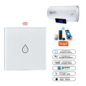 Wi-fi de Casa inteligente Controle de Voz Interruptor do Aquecedor de Água/Caldeira Interruptor Wifi Compatível com Alexa/Google Home/IFTTT