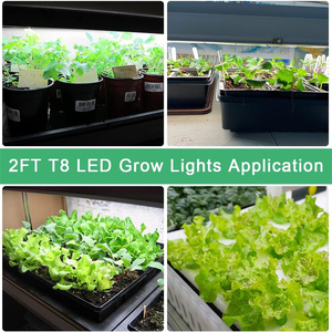 <span class=keywords><strong>T8</strong></span> Tốt Nhất <span class=keywords><strong>Led</strong></span> Thanh Phát Triển Ánh Sáng 1000W 1500Mm Quang Phổ Đầy Đủ Bóng Đèn Thay Thế Làm Vườn Ánh Sáng Ống Cho Thủy Canh Dọc Nông Nghiệp - Product Image 4