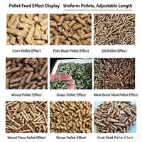 Machine multifonctionnelle à haute productivité pour la fabrication de granulés d'aliments pour animaux, machine à granulés d'aliments pour volailles, machine à granulés d'aliments pour animaux
