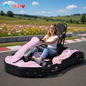 ApexJoy RACE GT PRO A4 - Kart <span class=keywords><strong>de</strong></span> course à essence 200cc/270cc 6.5HP 68km/h 30CrMo Disque ventilé Triple protection FEC Park Vente en gros B2B - Product Image 1
