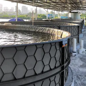 Equipo de piscicultura de gran venta tanque de peces comercial de agua de mar para estanque de peces de acuicultura Biofloc