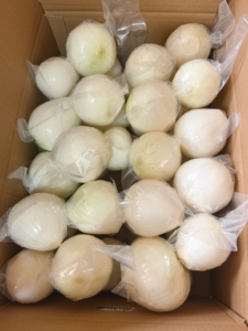 Semillas de Cebolla Blanca Híbrida F1 de Primera Calidad para Plantar, Alta Germinación, Semillas Frescas de Cebolla de Primavera para Agricultura - Product Image 2