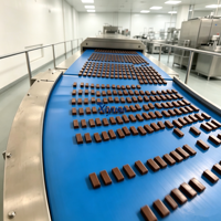 Chocolade-omhullingsmachine voor eierrollen & ontbijtrepen, met mengfunctie, voor de productie van stick-snacks in een fabriek.
