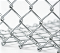 Rollo de Malla de Alambre Galvanizado por Inmersión en Caliente, Malla de Alambre Diamantada para Cercas de Granjas, Pastos, Jardines, Patios, Delimitación de Límites y Seguridad