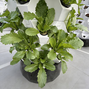 ระบบไฮโดรโปนิกส์ aquaponic สำหรับการเกษตรพร้อมปั๊มหอแนวตั้งทำจากพีวีซีเกรดอาหารสำหรับปลูกผัก - Product Image 4