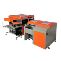 Robot de poinçonnage automatique de circuits imprimés à 4 axes avec vision CCD pour le chargement et le déchargement