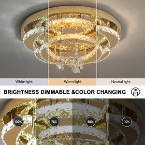Lampes de plafond en acier inoxydable de haute qualité, luminaires personnalisés pour villas et appartements, luminaires de plafond LED - Product Image 3