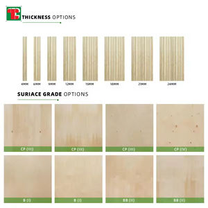 Contrachapado de abedul marino de 25 mm, grado acabado, blanco, barato, impermeable, <span class=keywords><strong>Bbb</strong></span> 18 Ddp, lámina de 3 mm, 18 mm <span class=keywords><strong>B</strong></span>/Bb, Conacaste - Product Image 3