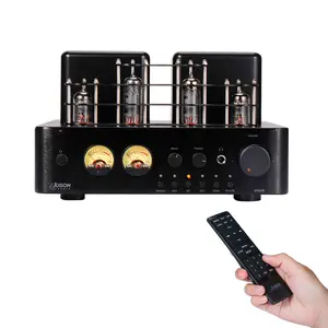 Juson Audio JTA50 amplificatore ibrido a tubo Vaccum con dente blu USB Aux Phono In Sub Out 130W