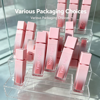 Gloss à lèvres rose dégradé en marque blanche, rouge à lèvres liquide mat/brillant personnalisé avec logo, teinte à lèvres OEM sans cruauté animale, vente en gros