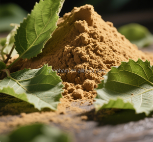 2025 meilleur vendeur UE <span class=keywords><strong>roman</strong></span> alimentaire conforme 1-DNJ 10% <span class=keywords><strong>extrait</strong></span> <span class=keywords><strong>de</strong></span> feuille <span class=keywords><strong>de</strong></span> mûrier <span class=keywords><strong>de</strong></span> qualité alimentaire poudre bouteille tambour peut meilleur vendeur 2025 - Product Image 1