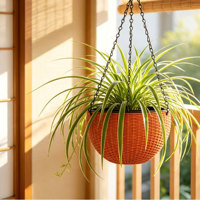 Grandes jardinières murales traditionnelles à double pot en PP, auto-arrosantes, avec trou de drainage, durables, 4,74 L, pour sol