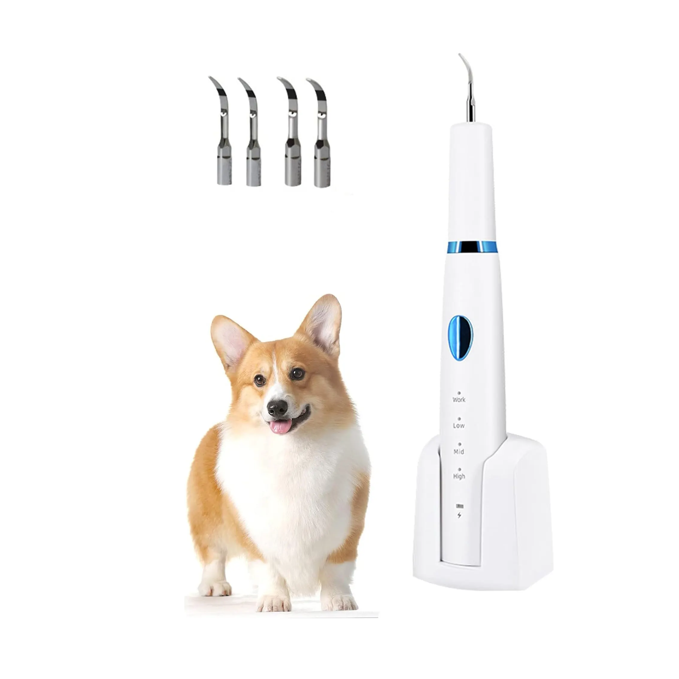 Kit ultrasonico per la pulizia dei denti del cane macchia di denti di cane sbiancamento pulito 3 modalità regolabili strumento per la cura dentale degli animali domestici