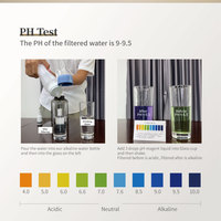 Botol Filter Air Alkali 400ml Ramah Lingkungan Bebas BPA dari Baja Tahan Karat 316 dengan Filter yang Dapat Diganti Desain Portabel OEM/ODM