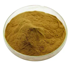 新しいバッチライオンたてがみキノコエキス101エキスHericium Erinaceus 10% 多糖