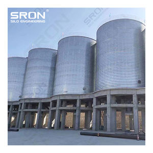 100m3-10000m3 Solusi Sistem Silo Baja Terutama untuk Penyimpanan Semen dan Fly Ash untuk Pusat Transit/Seaport Yard - Product Image 6