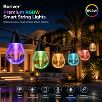Guirlandes lumineuses de Noël intelligentes Rgbw pour l'extérieur, étanches IP67, ampoules G60 en forme de pomme, pour le jardin, le camping, l'ambiance