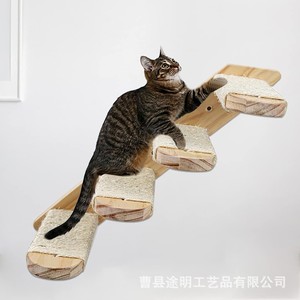 Échelle murale pour chat en bois massif, 4 niveaux, sisal, multi-étages, durable, pour salon - Product Image 5