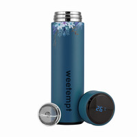 Bouteille d'eau intelligente en acier inoxydable de 500 ml avec affichage LED de la température, isotherme sous vide, isolation thermique de 6 à 12 heures pour le camping