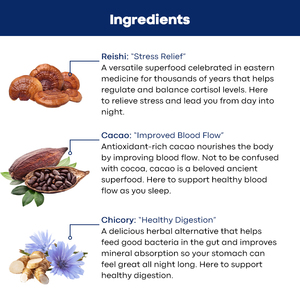 <span class=keywords><strong>Polvo</strong></span> de hongo Reishi orgánico con etiqueta privada con <span class=keywords><strong>cacao</strong></span> en <span class=keywords><strong>polvo</strong></span> L-teanina compatible con el estrés y el sueño Reishi Hot <span class=keywords><strong>Cacao</strong></span> Sleep Powder - Product Image 5