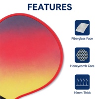 Ensemble de raquettes de pickleball en fibre de verre avec logo personnalisé OEM, pagaie légère avec housse de protection, fournisseur d'usine