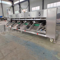 Gemotoriseerde Sorteermachine Voor Het Reinigen Van Fruitgroenten Voor Appelkersen Bosbessen Uien Aardappelen Dadels Andere Producten