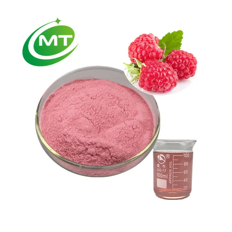 Échantillon gratuit de haute qualité bonne saveur 100% Pure naturelle organique Raspberry(Rubus chingii Hu) extrait de baies de fruits en poudre boissons