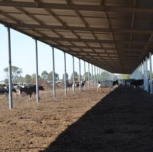 התקנה מהירה טרומית מבנה פלדה טרומי בניין חוות בקר מסורתי לשפוך כבשים לשפוך עיזים בית פרה נמוך - Product Image 5