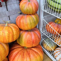 Multi Color Food Groenten Kunstmatige Pompoen Ornament Nep Pompoen Prop Halloween Thanksgiving Herfst Oogst Huis Boerderij Decor
