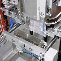 Volledig automatische zuigerpomp vloeistofdoseer- en verpakkingsmachine voor water, tomatensaus, sojasaus, vruchtensap en zakjes.