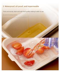 Envases de Alimentos Desechables Rectangulares Biodegradables de Pulpa de Caña de Azúcar Ecológicos de 500 ml, 650 ml, 750 ml, 850 ml y 1000 ml - Product Image 3