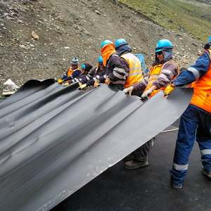HDPE 연못 라이닝/댐 라이너/HDPE Geomembrane - Product Image 6