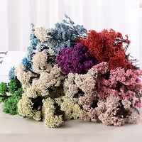 Fleurs séchées de riz blanc préservées pour la décoration de cérémonies de mariage – Vente en gros d'usine de fleurs et couronnes décoratives naturelles séchées