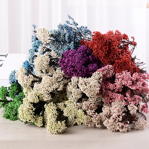 Flores Secas de Arroz Blanco Preservadas para Decoración de Bodas, Venta al por Mayor de Fábrica, Flores Decorativas Naturales Secas y Guirnaldas - Product Image 6