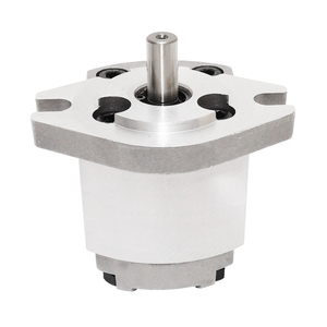 Bomba Hidráulica de Engranajes de Alta Presión YOLON <span class=keywords><strong>HGP</strong></span> 25MPA, Bomba Eléctrica de Alta Velocidad 5000 RPM, Unidades de Equipos Hidráulicos de Alta Eficiencia - Product Image 5
