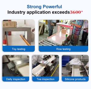 Paslanmaz çelik bakır altın demir Metal kafa ile yüksek hassasiyetli PVC konveyör dedektörü - Product Image 6