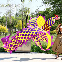 Danse du dragon sportive personnalisée, 6m, 8m, 10m, 12m, danse du dragon carrée
