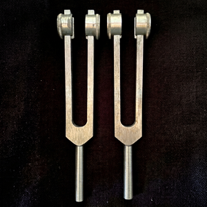 Ensemble de diapasons en aluminium, lot de 2, les deux sont de type 256 C - Product Image 1