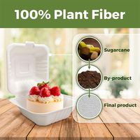 Boîte alimentaire en forme de coquille de canne à sucre, jetable, biodégradable, boîte à lunch en pulpe de papier, boîte bento de 6 pouces, bols jetables