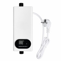 Nouvel Arrivage Chauffe-eau Électrique Mural Sans Réservoir 110V/220V en Plastique à Commande Manuelle Économe en Énergie avec Télécommande LED